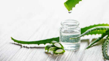 Aloe Vera – Frische aus der Wüste