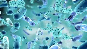 Mikrobiom und Darmgesundheit